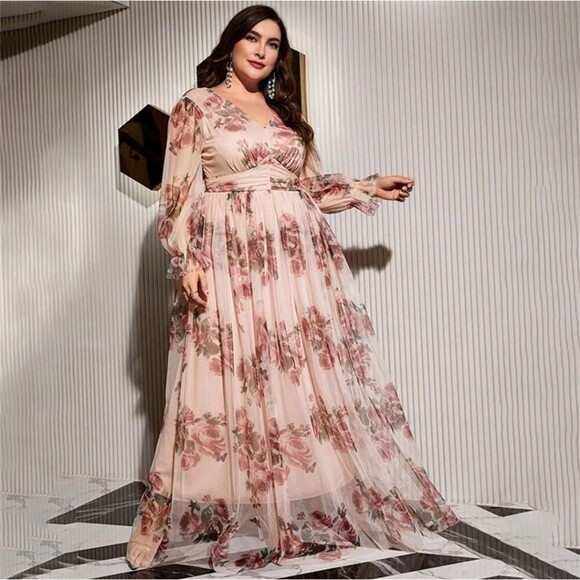 Toleen Plus Size Women Sheer Maxi Dress Size 4XL NWT - Picture 6 of 10